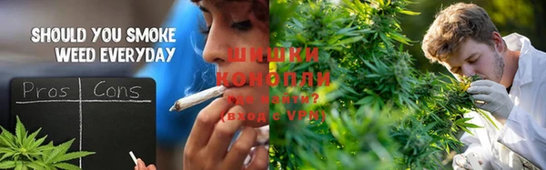 гашик Аркадак