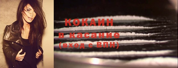 гашик Аркадак