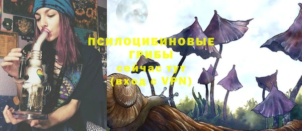 гашик Аркадак