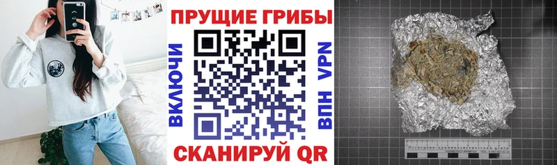 Псилоцибиновые грибы Psilocybe Озёрск
