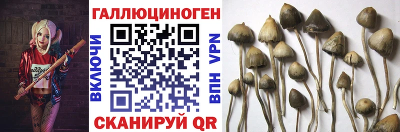 Галлюциногенные грибы мухоморы Озёрск